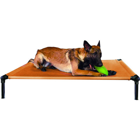 Starmark Dog Zone Pro Training Bed Gold Large