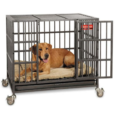 Empire Dog Crate Heavy Duty Dog Cage With Durable Bed