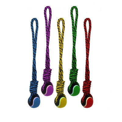 MultiPet Nuts for Knots 20 Inch Rope Tug With Tennis Ball