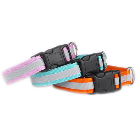 Zoeys Reflective Dog Collar