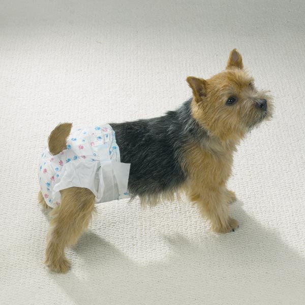 Clear Quest Disposable Doggy Diapers - Small