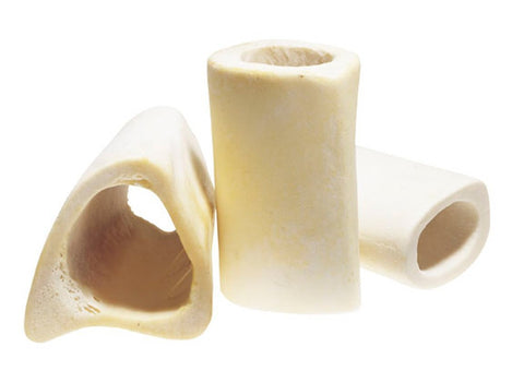 Redbarn Small White Femur Bone
