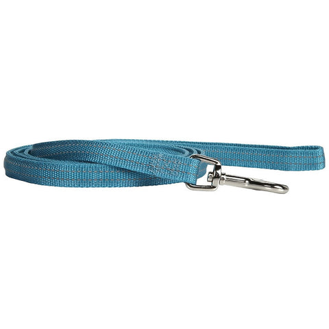 Petmate Padded Reflective Lead Teal 5/8 X 6ft