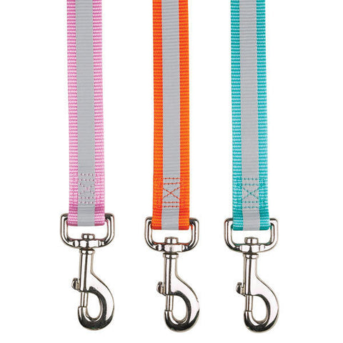 Zoeys Reflective Dog Lead