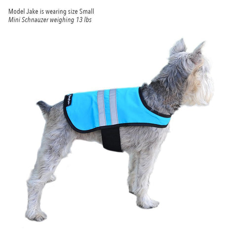 Zippy Paws Blue Cooling Vest - Medium