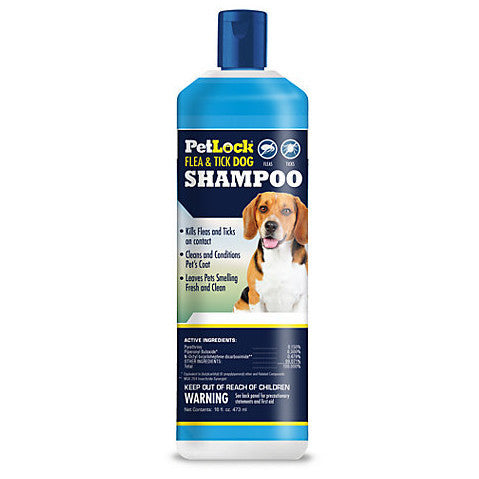 PetLock Flea and Tick Dog Shampoo 16oz