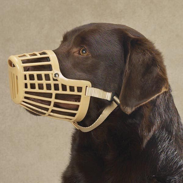 Basket Dog Muzzle