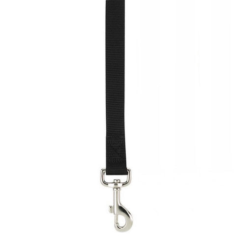 Small Breed Black Nylon Dog Leash 3/8" x 6ft