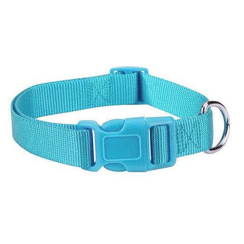 Bluebird Teal Fashion Nylon Adjustable Dog Collar