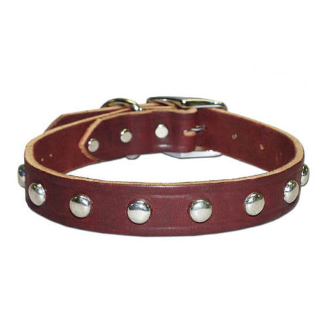 Burgundy Leather Studded Dog Collar