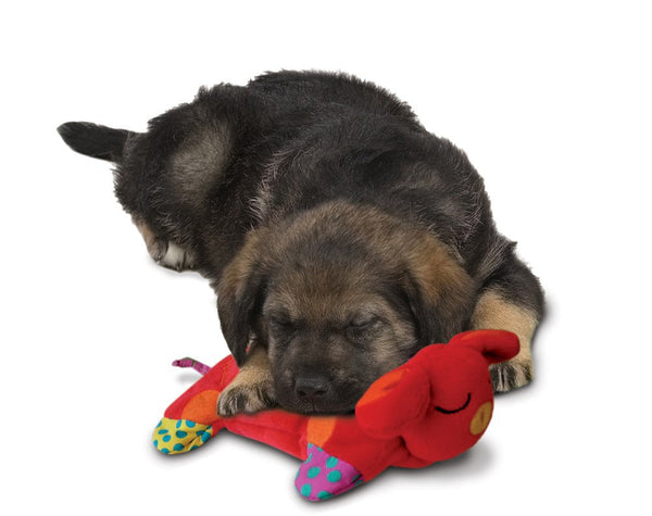 Petstages Puppy Cuddle Pal 9 inch Dog Toy