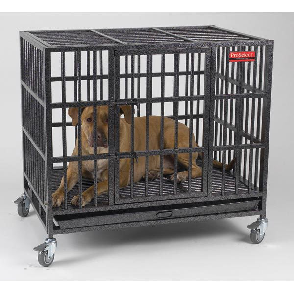 Empire Dog Crate Heavy Duty Dog Cage