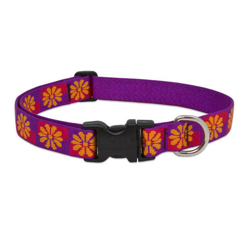 Flower Box 1" Lupine Lifetime Guaranteed Dog Collar