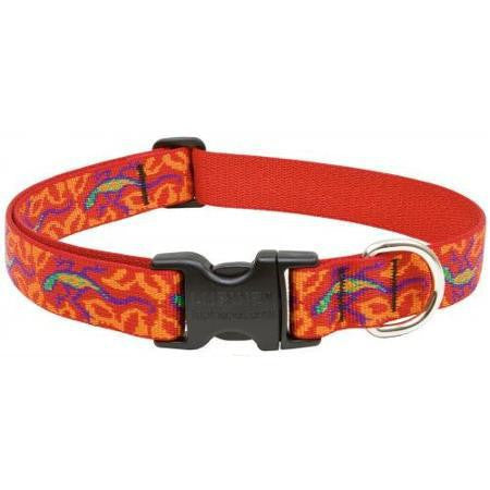 Lupine GoGo Gecko Medium/Large Dog Collar 3/4 Inch Wide