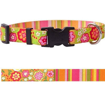 Yellow Dog Green Bouquet Collection Dog Collar