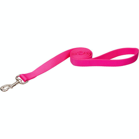 Small Breed Hot Pink Nylon Dog Leash 3/8" x 6ft
