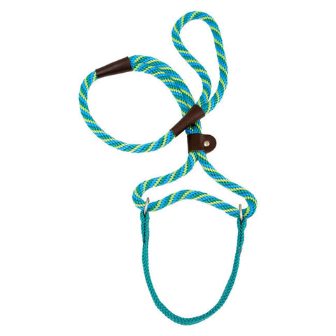 Seafoam Mendota Dog Walker Martingale Lead 3/8 x 6ft