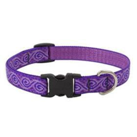 Lupine Jelly Roll Medium/Large Dog Collar 3/4 Inch Wide