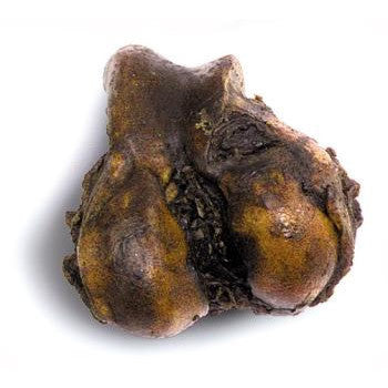 Smokehouse Natural Beef Knuckle Bone