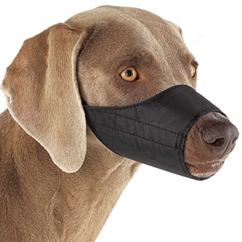 Lined Nylon Dog Muzzle