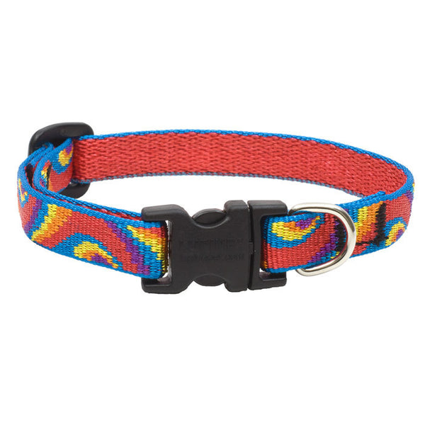 Lollipop Lupine Lifetime Guaranteed Small Breed Dog Collar