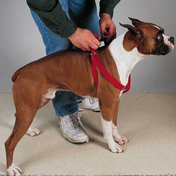 Nylon Quick And Easy Step In Dog Harness