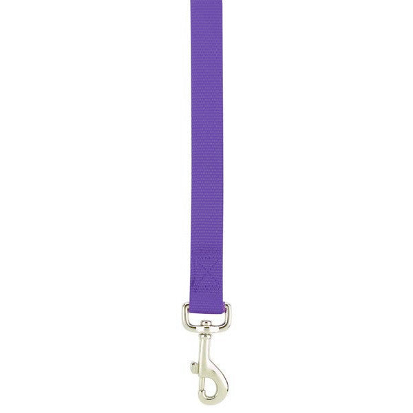 Small Breed Purple Nylon Dog Leash 3/8" x 6ft