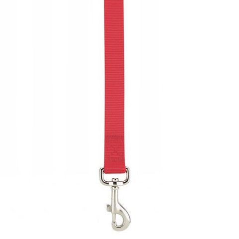 Small Breed Red Nylon Dog Leash 3/8" x 6ft