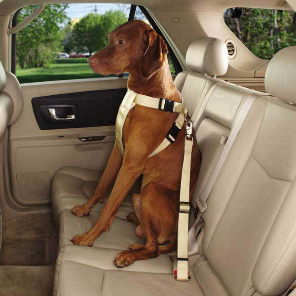 Khaki Ride Right Comfort Car Harness For Dogs