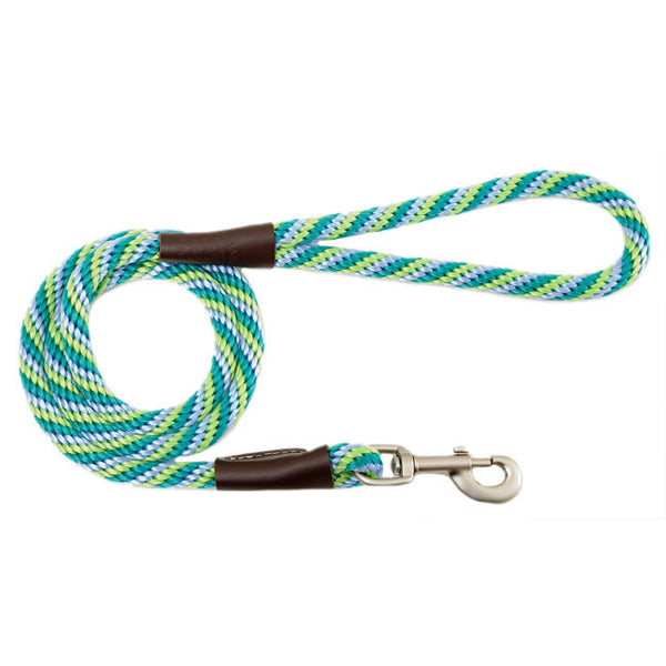 Mendota Small Seafoam Snap Leash 3/8 x 6 Ft