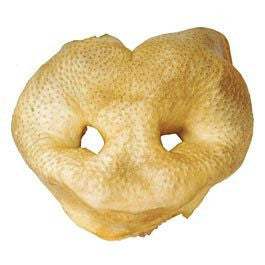 Smokehouse Piggy Snout Natural Dog Chew