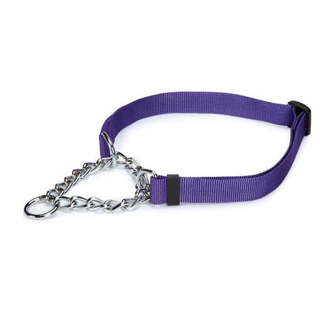 Ultra Violet Guardian Gear Chain Martingale Dog Collar