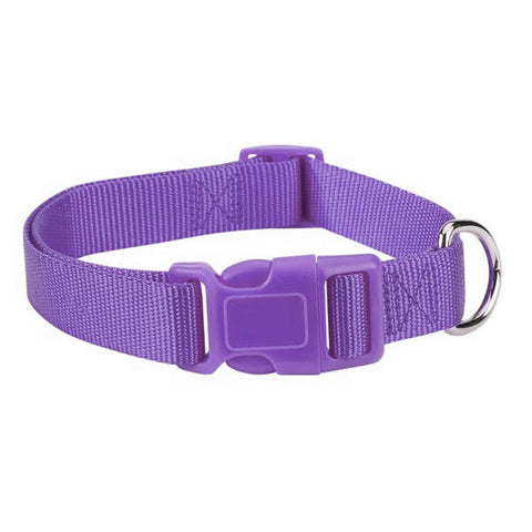 Ultra Violet Purple Fashion Nylon Adjustable Dog Collar