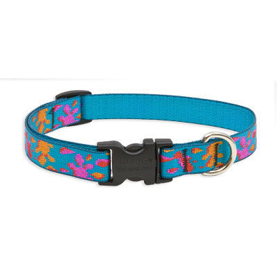 Wet Paint Lupine Lifetime Guaranteed Dog Collar